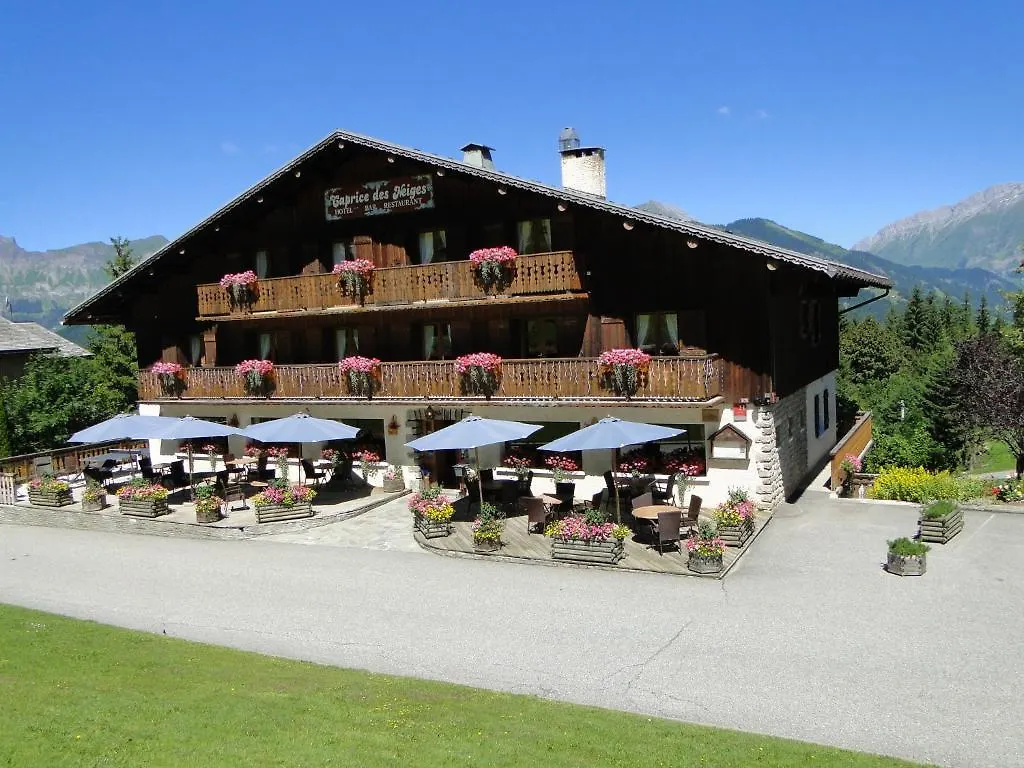 Le Caprice Des Neiges Hotel Crest-Voland