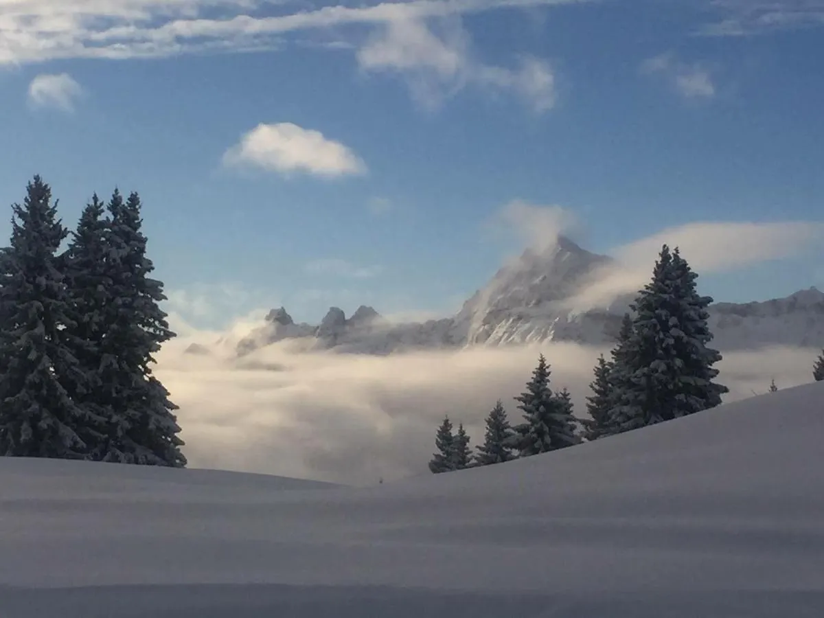Le Caprice Des Neiges Hotel Crest-Voland